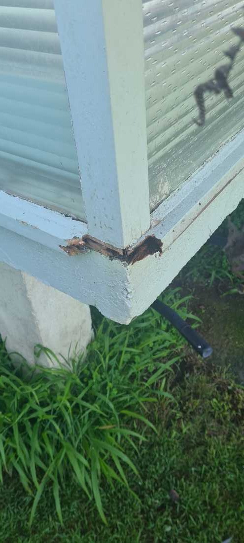 Rotten Timber & Weathertightness Repairs